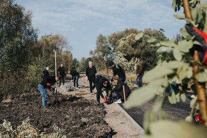 Akcja sadzenia 30 drzew z okazji 30-lecia obecności w Polsce firmy Purmo