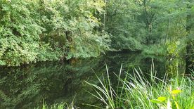 Użytek ekologiczny Okrzeszyniec