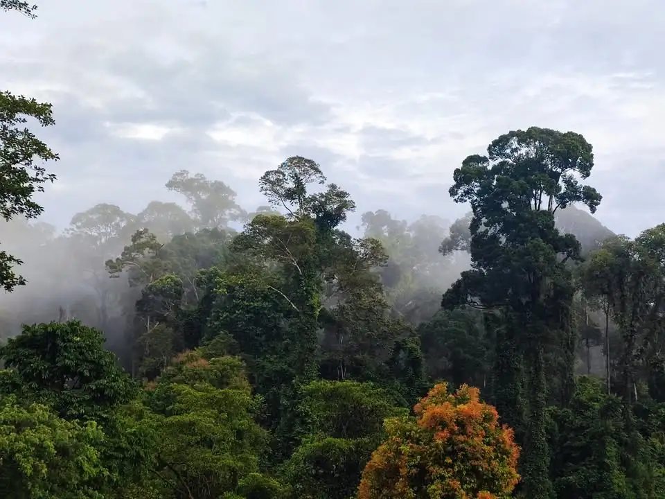 Borneo – Utracony Świat. Spotkanie podróżnicze w Zabytkowej Kopalni Ignacy w Rybniku