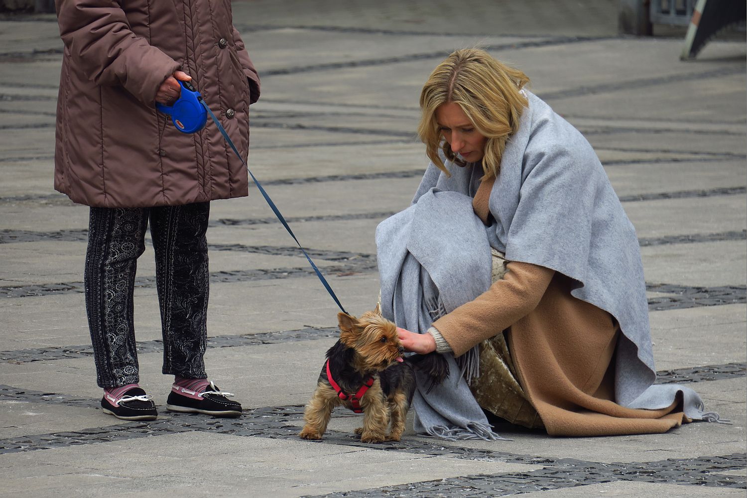 13a diagnoza marzec fot.L.Tyl