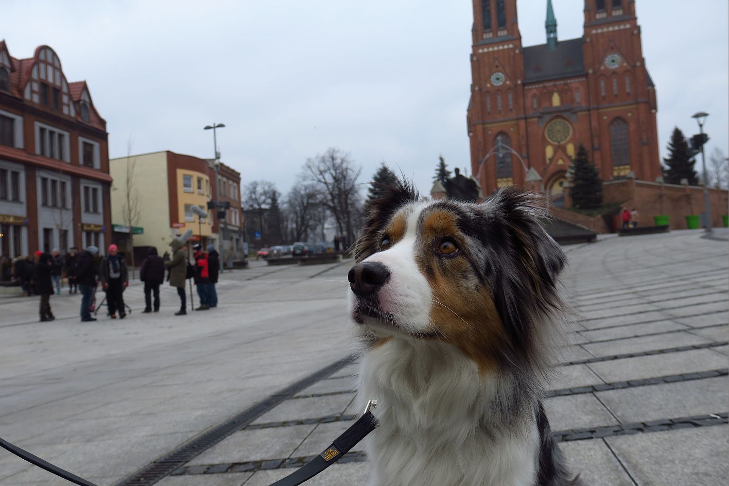 1a diagnoza marzec fot.L.Tyl