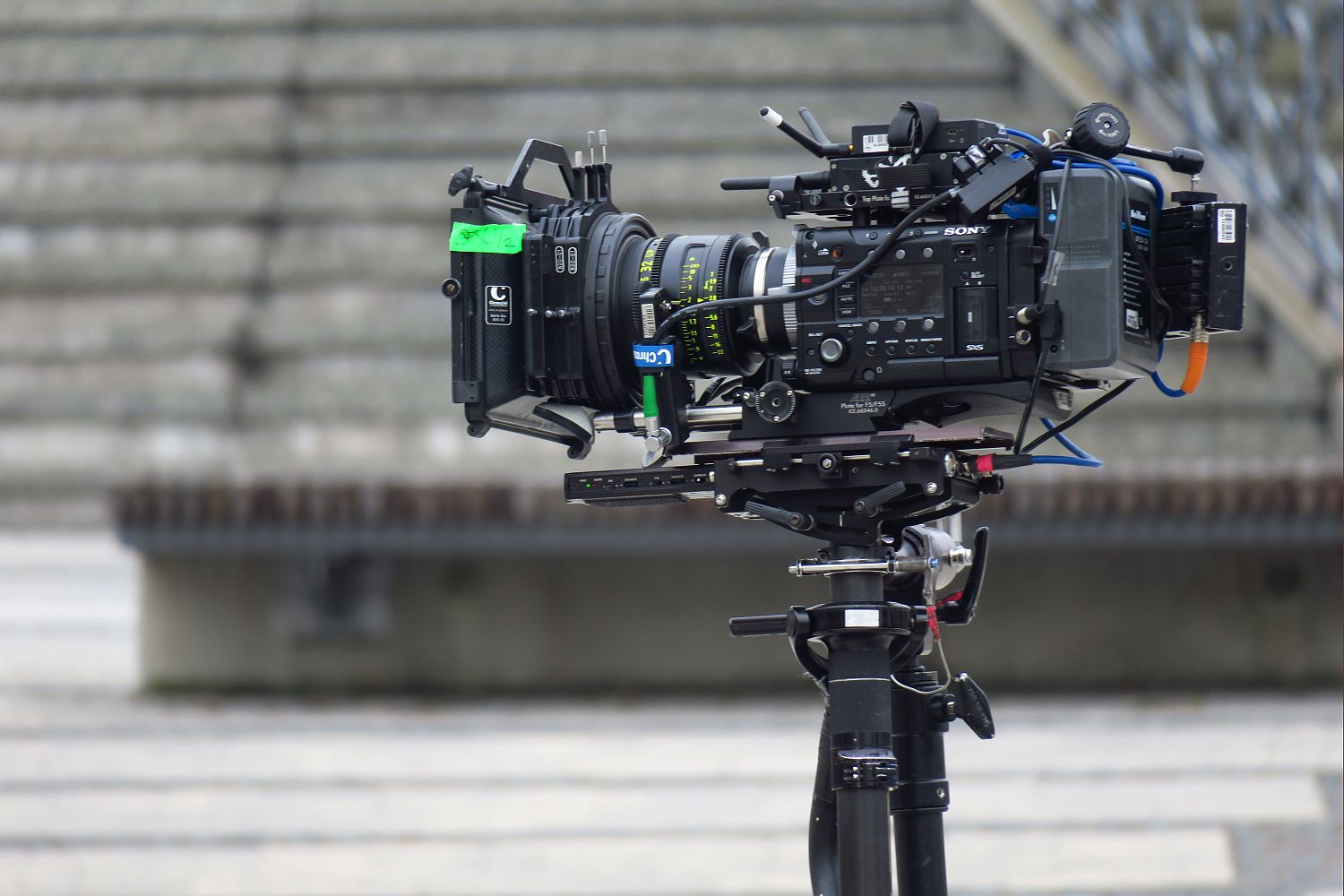 5a diagnoza marzec fot.L.Tyl