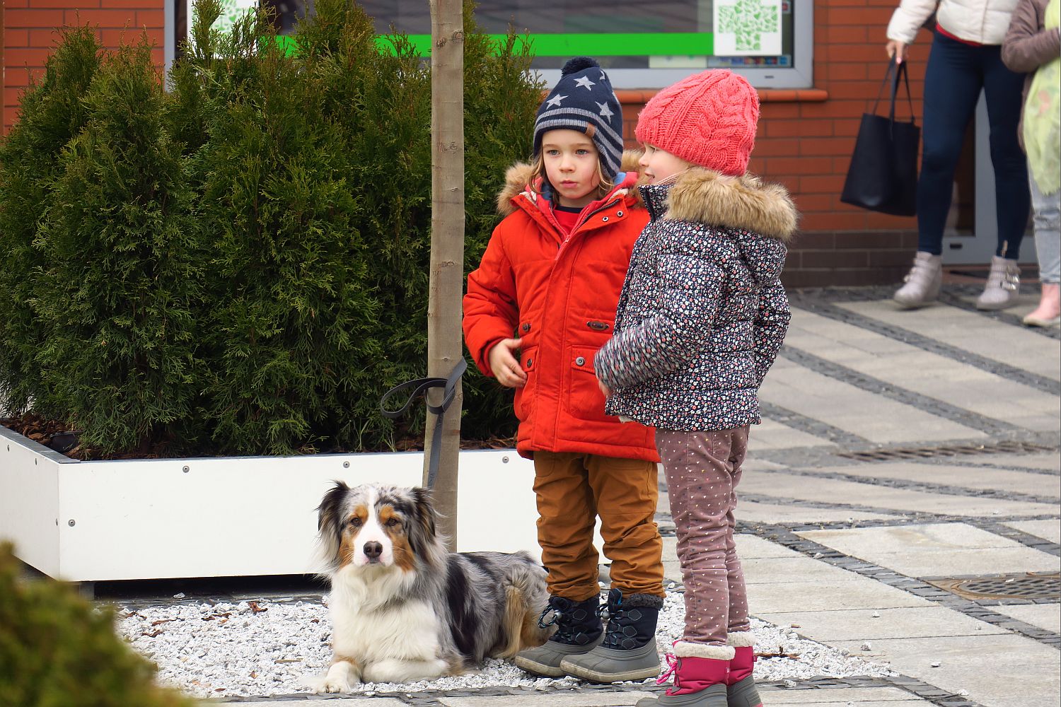 8a diagnoza marzec fot.L.Tyl