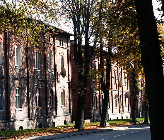 Dzielnica Chwałowice: zespół kolonii robotniczej przy ul. 1 Maja wraz z otoczeniem – osiedle patronackie powstałe na początku XX w. dla pracowników kopalni „Donnersmarck” (dziś KWK „Chwałowice”). Fot. L.Tyl